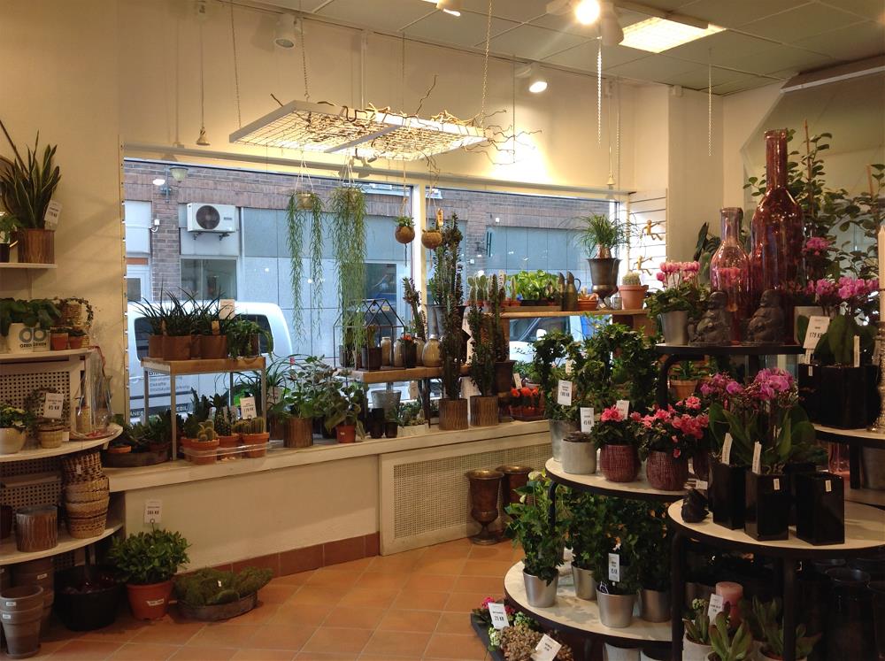 Interflora, bild 4