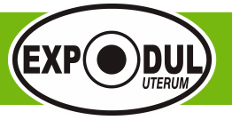 Expodul